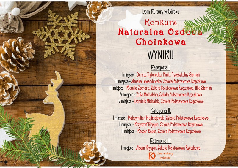 Naturalna Ozdoba Choinkowa wyniki 1